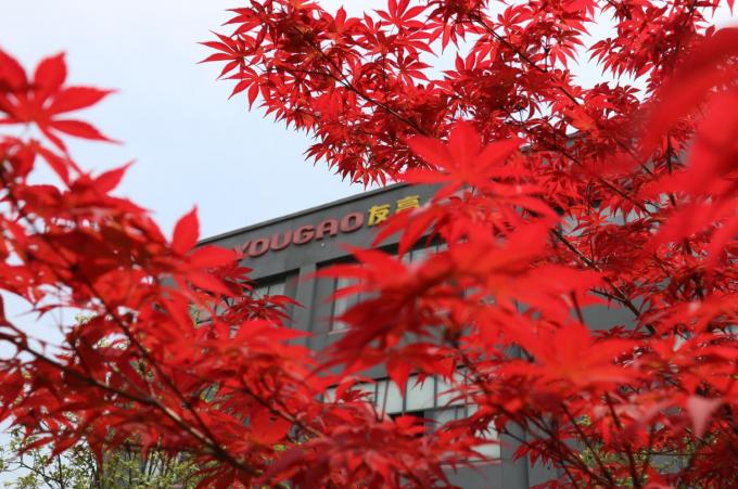 Trung Quốc Hefei Luox Yougao Technology Co., Ltd. hồ sơ công ty 2