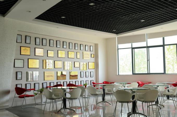 Thiết bị vận chuyển đường thẳng di chuyển hai bên hướng đi ngang 7