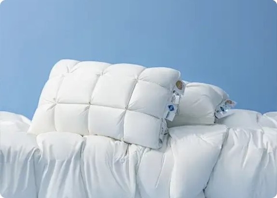 30m phút Label chai đáy máy in Inkjet máy vận chuyển phù hợp với máy in
