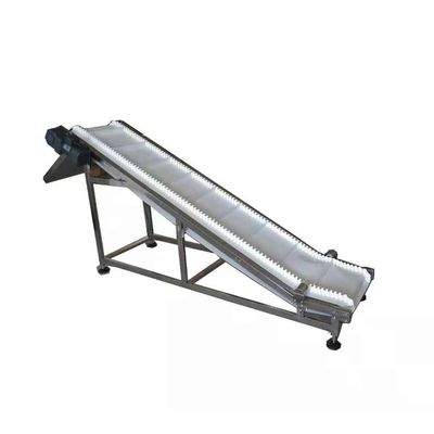 Conveyor mã hóa chai loại leo lên 60W với buffer điều chỉnh